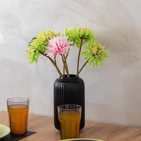 Sloneczny I Przestronny W Sercu Szczecina By Renters Appartement *