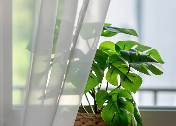 Sloneczny I Przestronny W Sercu Szczecina By Renters Szczecin