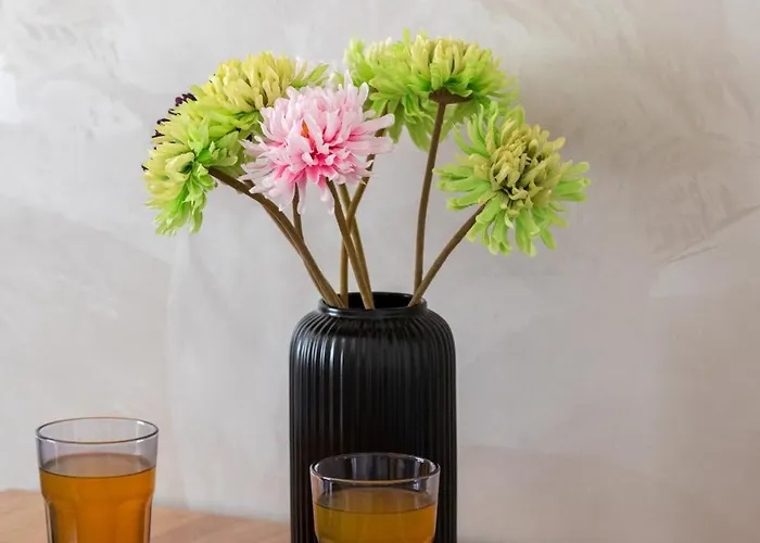 Sloneczny I Przestronny W Sercu Szczecina By Renters Lägenhet *